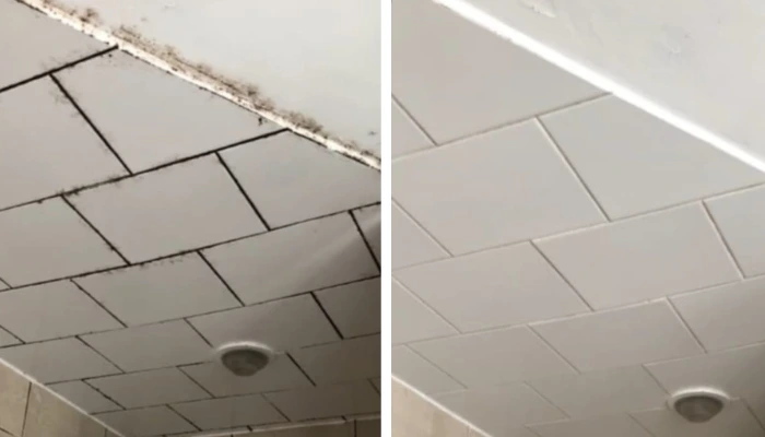 Tile and grout - Grout Fix Experts 17